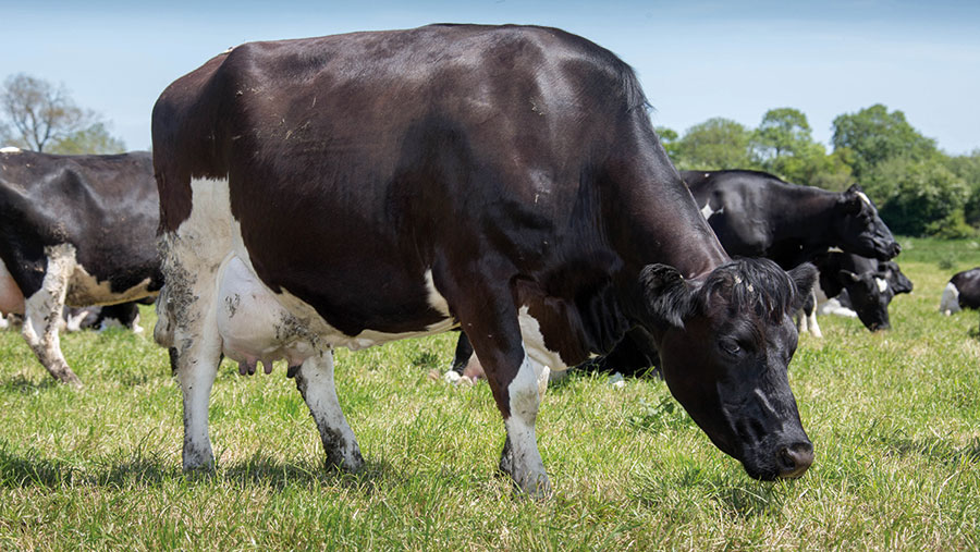 How an Irish farmer is making robotic grazing work - Vimarsana News