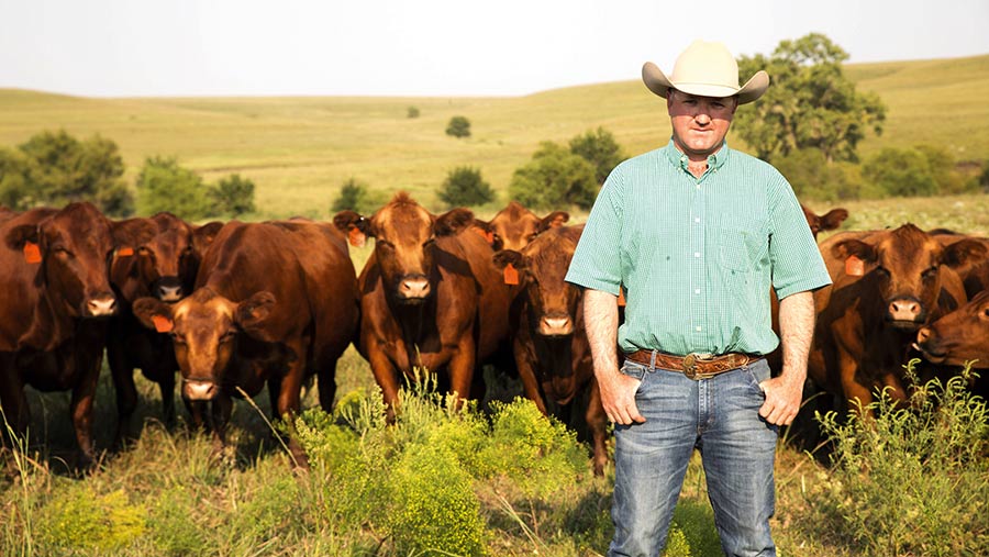 Daniel Mushrush with cattle