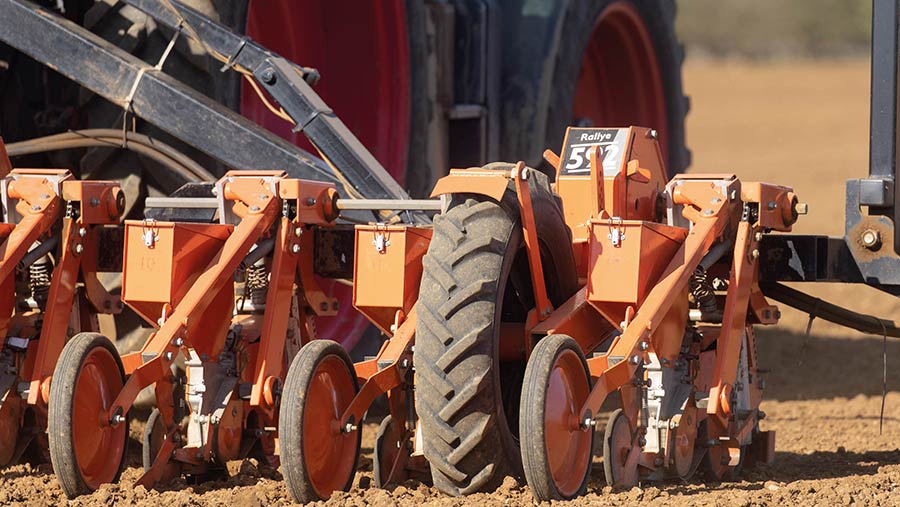 drilling sugar beet