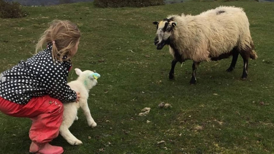 Matilda Mundy with ewe and lamb