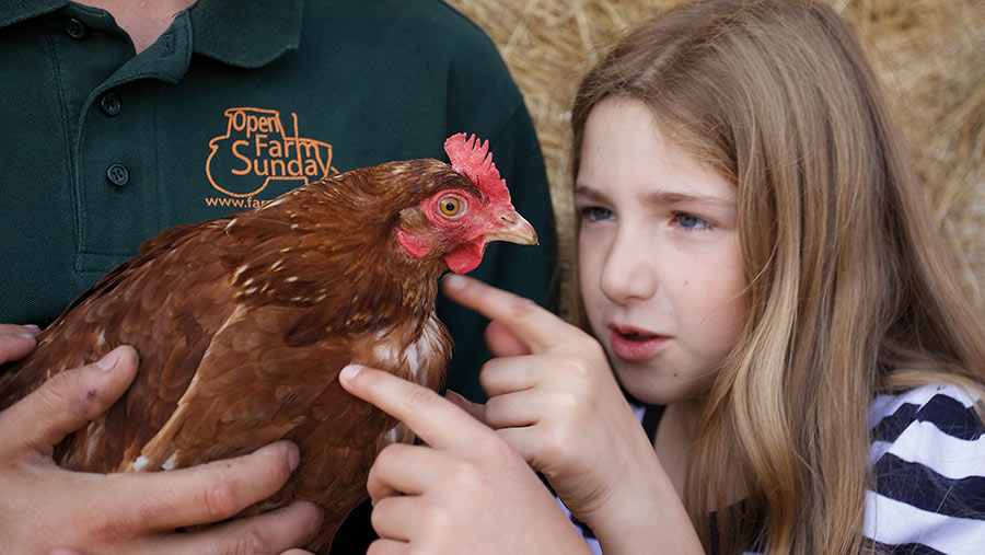 young girl with chicken