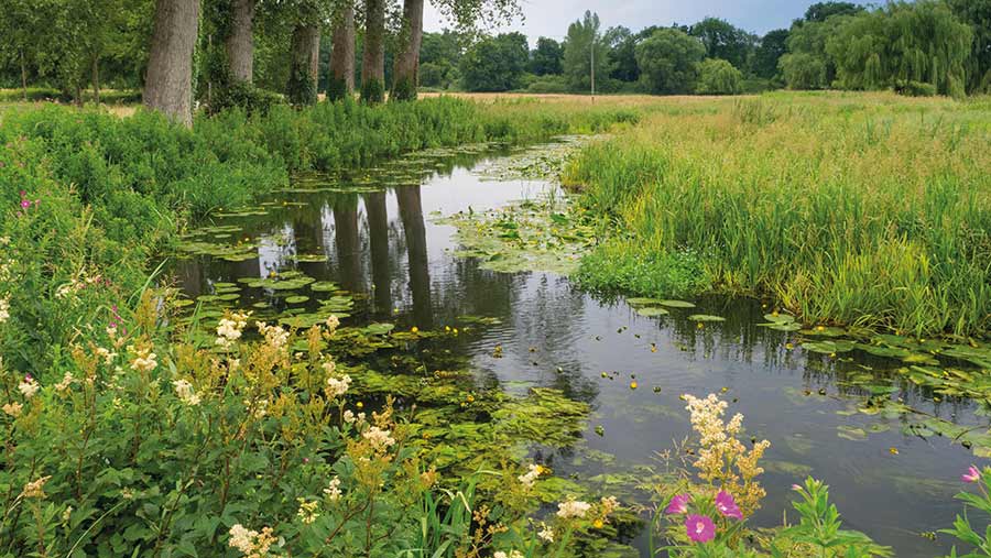 The River Wensum in Norfolk © Loop Images Ltd/Alamy Stock Photo