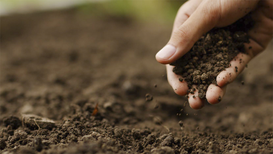Soil strategy answers key farming sustainability questions - Vimarsana News