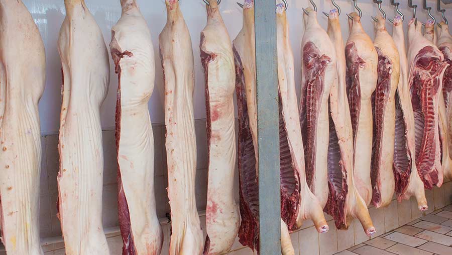 © Anton/Adobe Stock