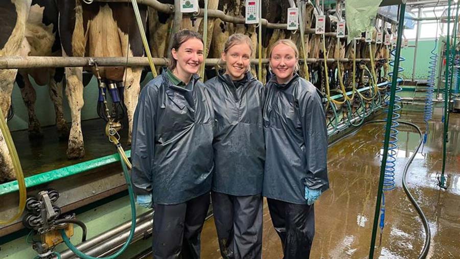 Three women in a milking parlour