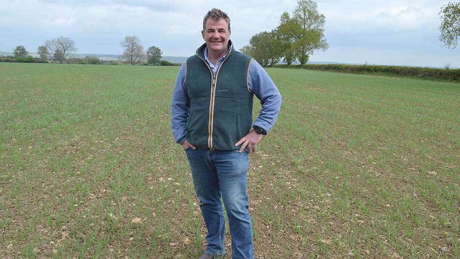 Charlie Reynolds standing in spring oat field