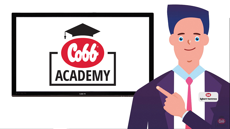 Cobb Academy logo