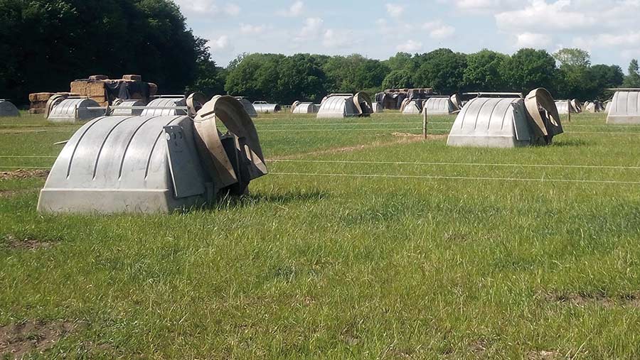 Farrowing arks in a grass ley
