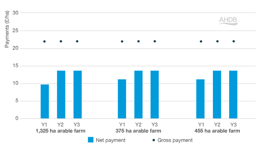 Graph: Gross and net payment rates for SFI 2022 arable and horticultural soils