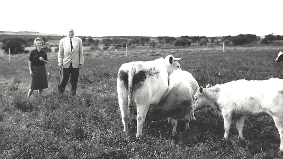 John and Jeannie Mackie with cows
