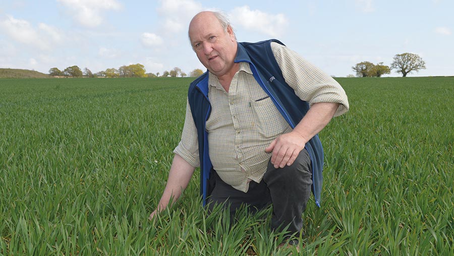 Farmer kneeling in a field of wheat