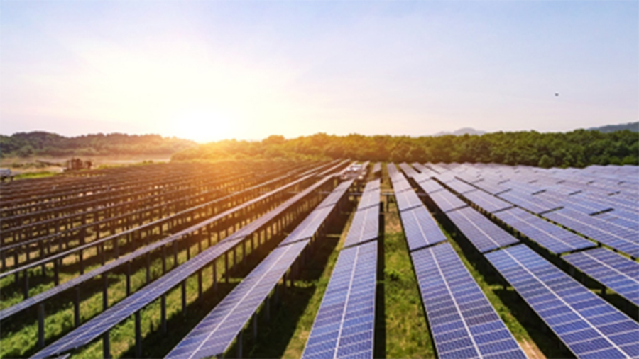 field of solar panels