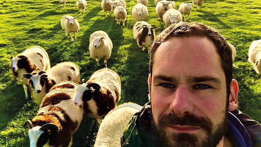 Richard Heady  with sheep