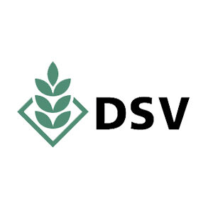 DSV logo