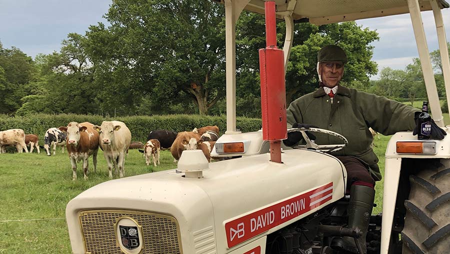 Prince Philip scarecrow on a David Brown tractor