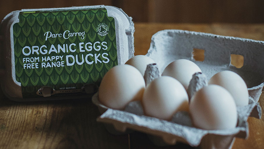 Two half-dozen cartons of duck eggs