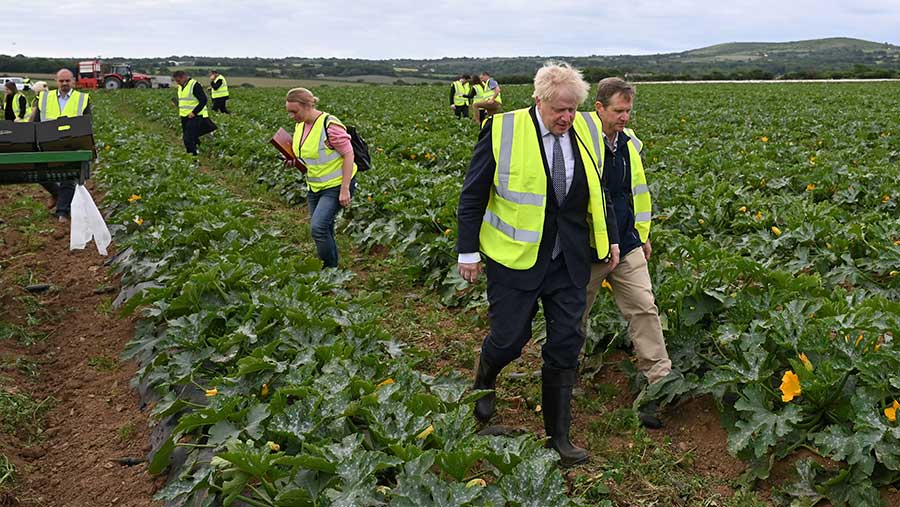 Prime minister Boris Johnson on a farm in Cornwall at the weekend © PA Images/Alamy Stock Photo