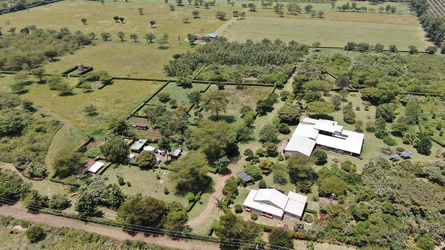 Aerial view of farmland and buildings