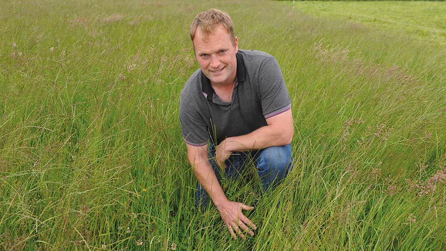 Phil Cowcher in pasture