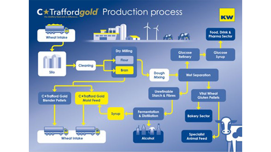Production process for C*Traffordgold 
