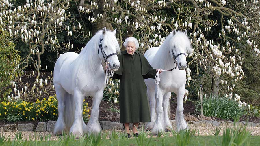 Queen Elizabeth and two horses