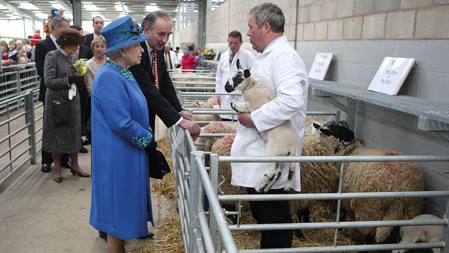 Queen with workers and sheep at livestock market