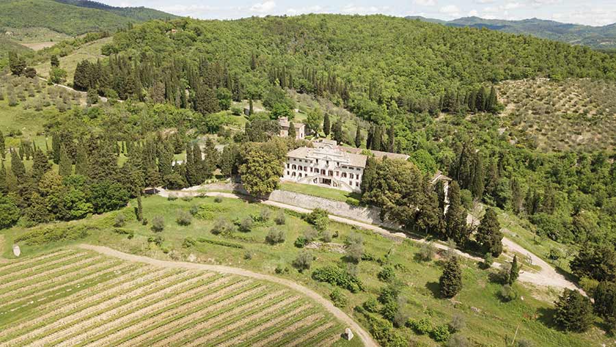 Aerial view of vineyards and farm buildings