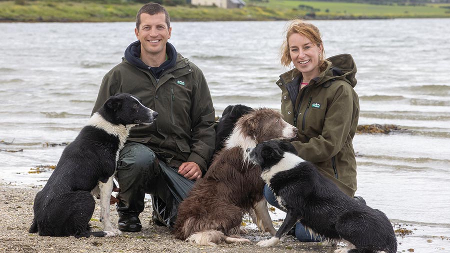 Couple on a lake shore with three sheepdogs