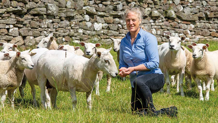 Fiona Lovatt with sheep