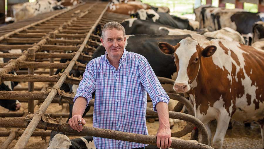 Farmer with dairy cows