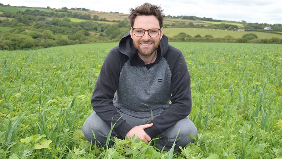 Morgan Scale in cover crop