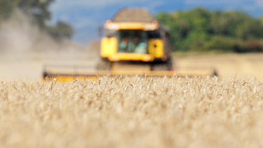 Skyfall wheat being harvested in Whitton, North Lincolnshire. Photo submitted by Tracy Marsden