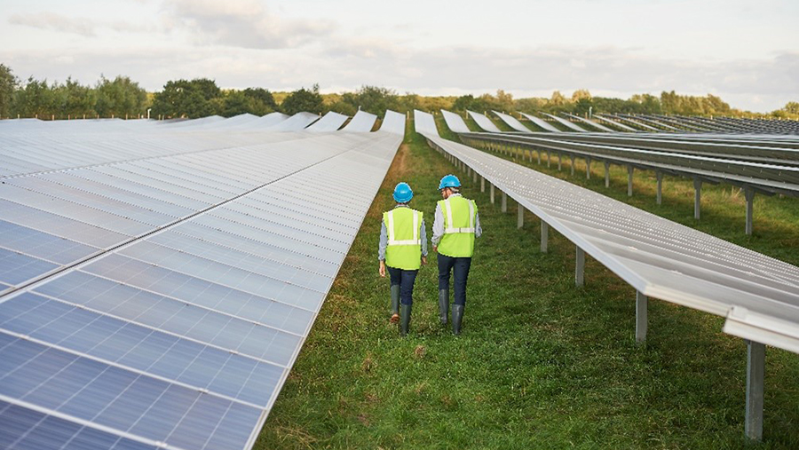 two people in solar panel field