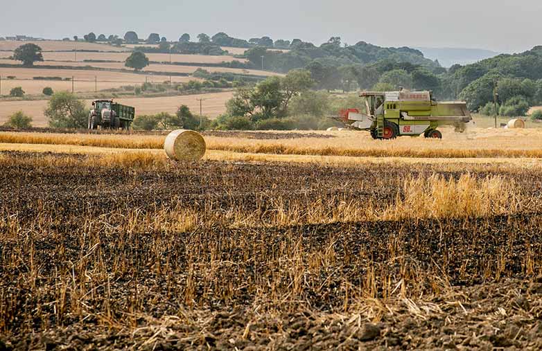 Combine at work with burnt crop in the foreground