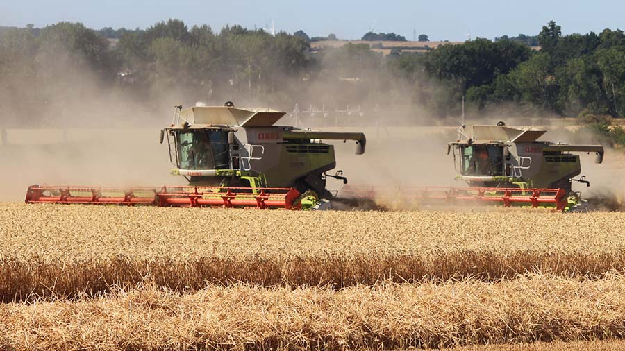 Claas combines in wheat in North Bedfordshire photo submitted to the Harvest 2022 gallery by Michael Hunt