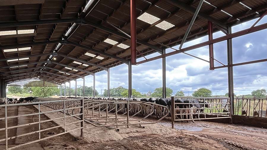 Deep sand in cubicle shed