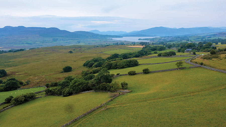 Gilfach Wen near Blaenau Ffestiniog, Gwynedd