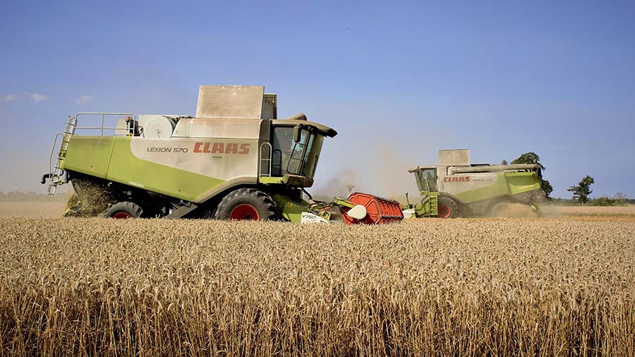 Harvest with blue sky