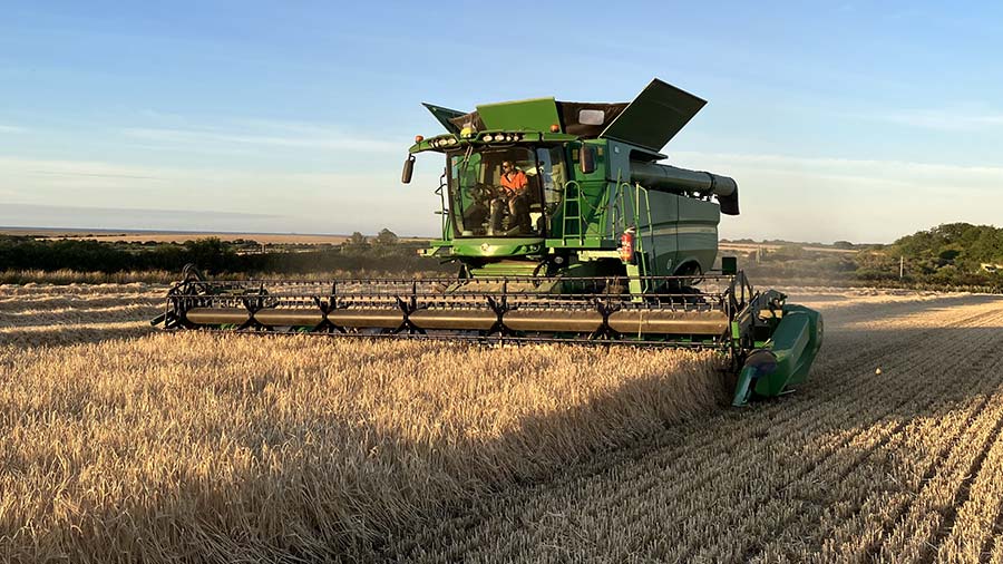 Harvesting winter barley