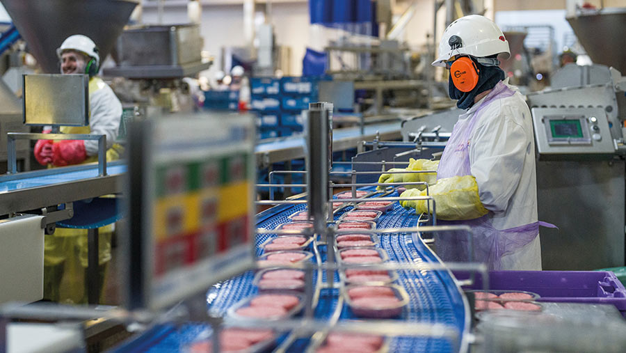 Workers in abattoir