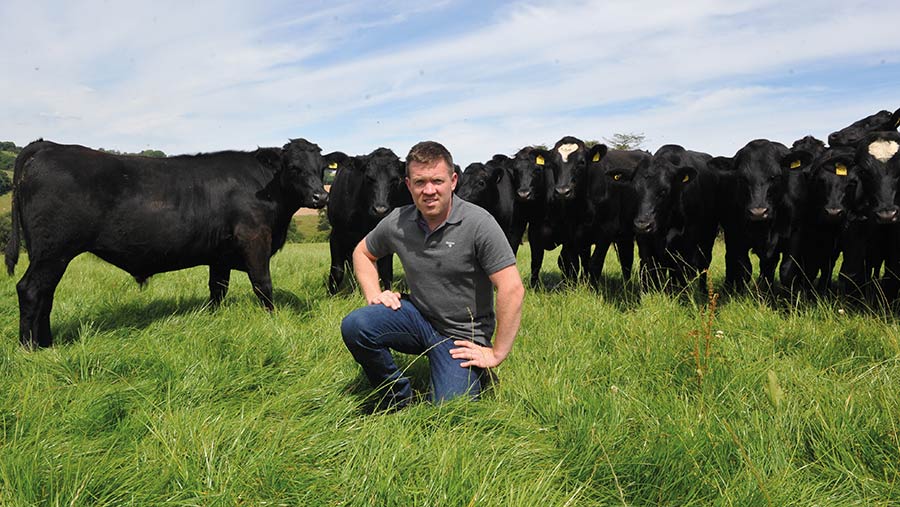 Neil Davies with cattle