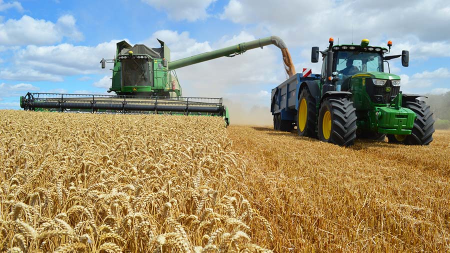 Nigel Pond's wheat harvest