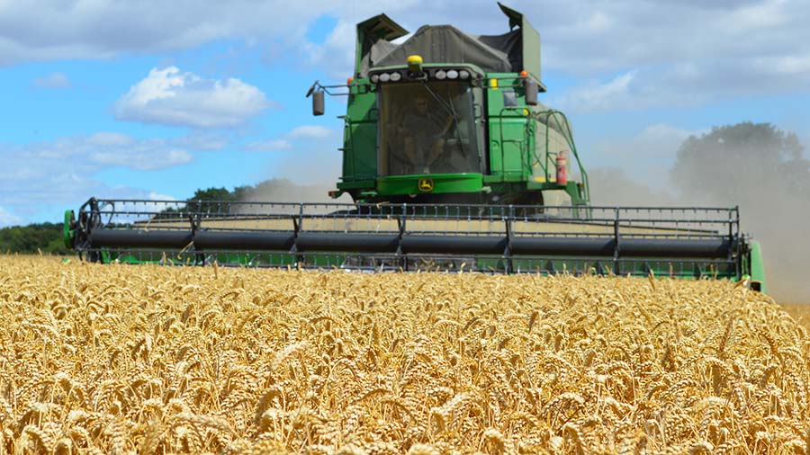 Nigel Pond's wheat harvest © MAG/David Jones