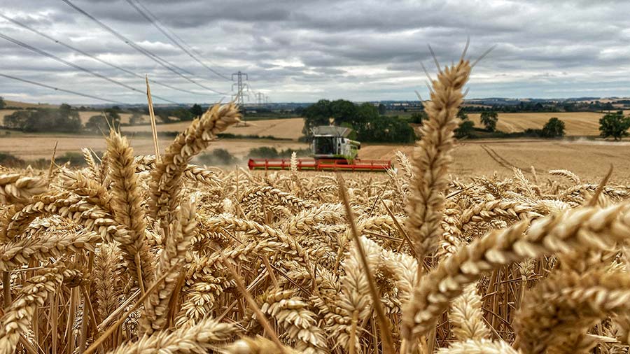 Northampton Brixworth Farming Companies combining wheat - photo submitted to our Harvest 2022 gallery by Jessica