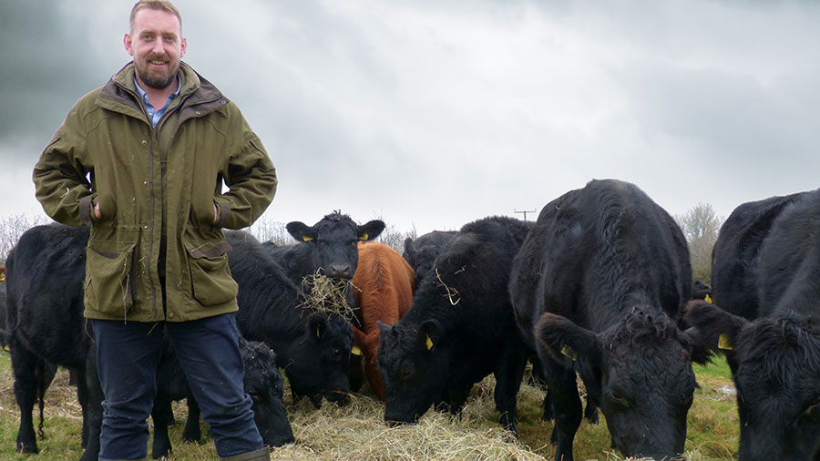 Rob Harvard with his Angus herd 