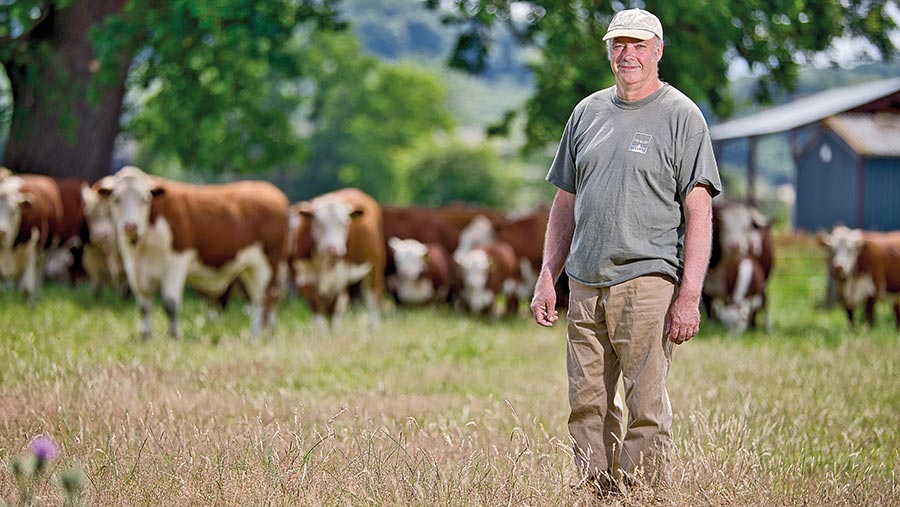 Simon Cutter with cows