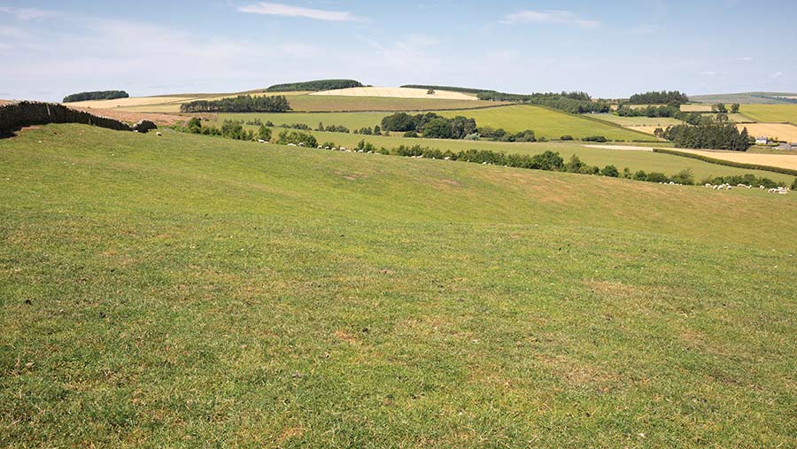 Upper Ashtrees, near Jedburgh in the Scottish Borders