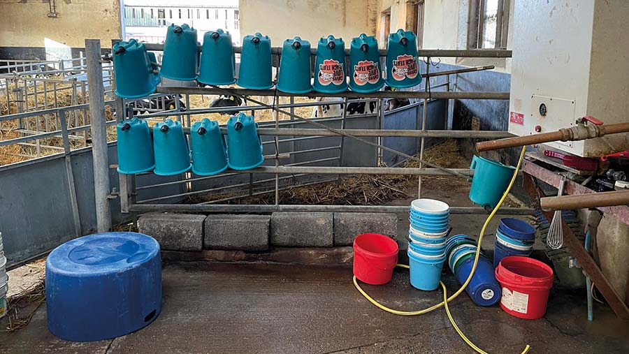 feeding equipment for calves