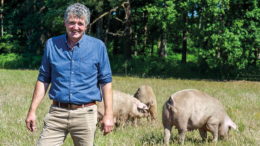 Rob McGregor with pigs in field