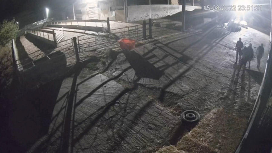 Video: Brazen thieves caught on CCTV stealing farm equipment - Farmers ...